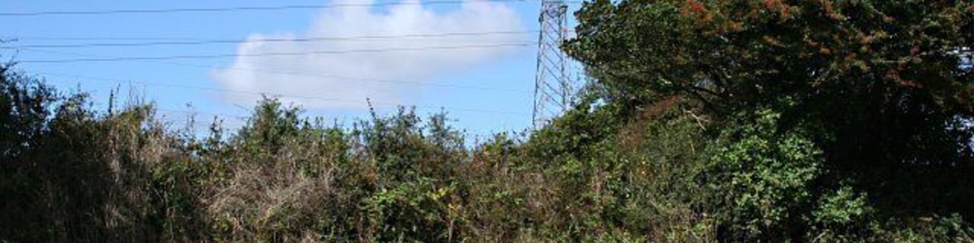 Bend in the Road and a Pylon. You cannot escape the high voltage electricity lines here, there are three of them running through this square.