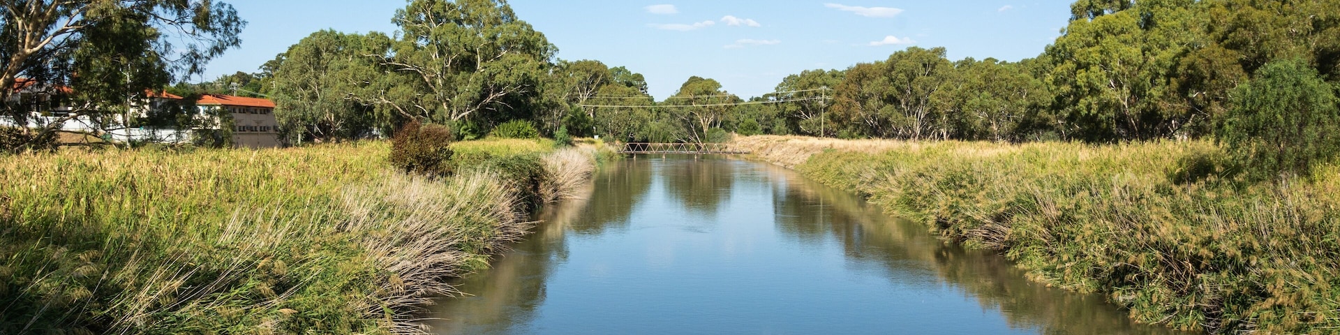 Un río tranquilo bordeado por exuberante vegetación y árboles bajo un cielo azul despejado.