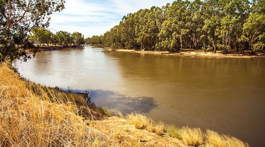 Am Murrumbidgee River bei Narrandera Noth South Wales Australien