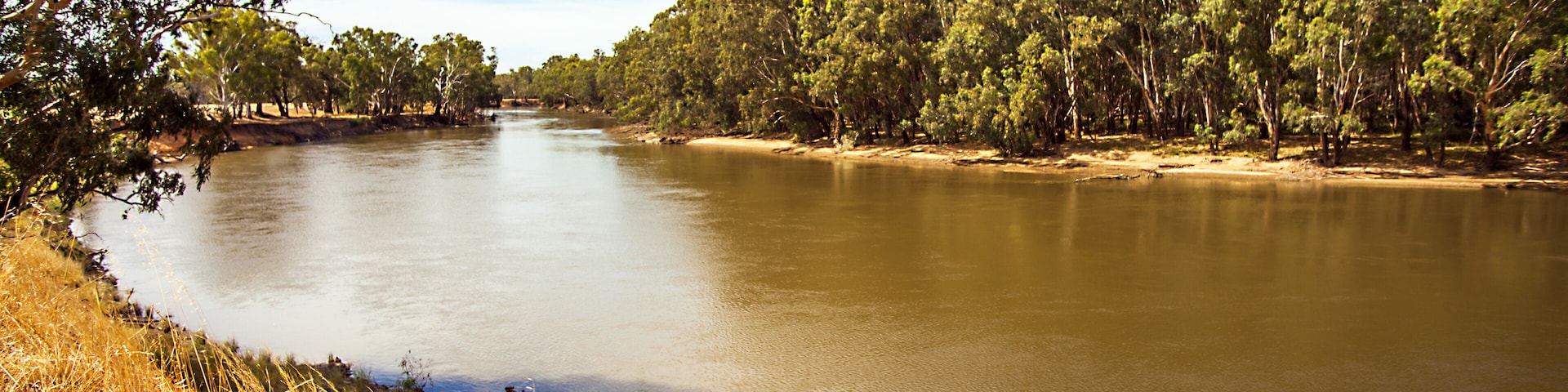 Am Murrumbidgee River bei Narrandera Noth South Wales Australien
