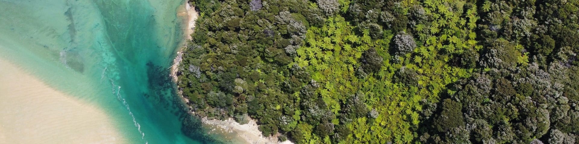 Aerial top view of Abel Tasman National Park, Nelson, South Island, New Zealand