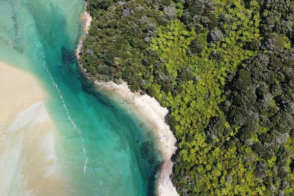 Aerial top view of Abel Tasman National Park, Nelson, South Island, New Zealand