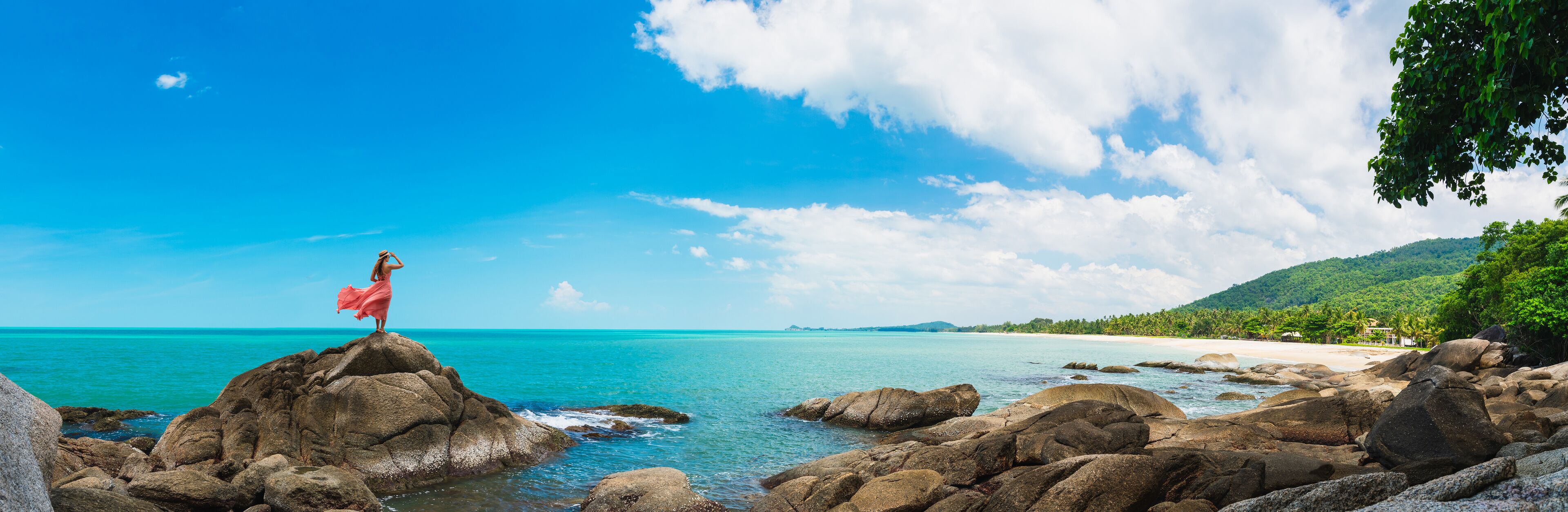 A woman in a pink dress standing on a rock by a turquoise sea, with a beach and lush greenery in the background.