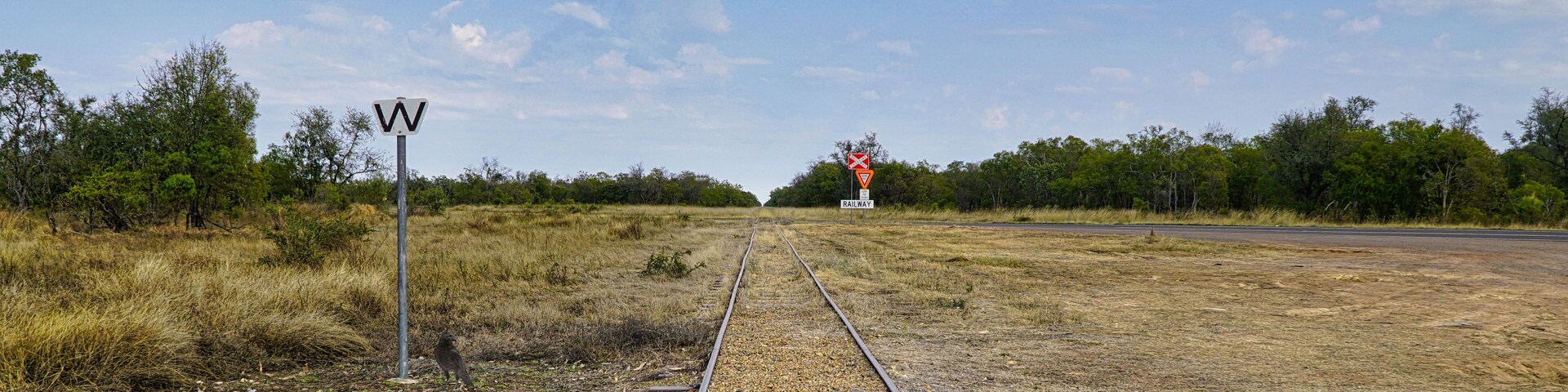 Trilho de trem com sinalização 'W' e um semáforo de cruzamento ferroviário ao longe.