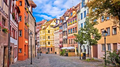 A cobblestone street lined with colorful half-timbered buildings, a tree with flowers, and a street lamp.