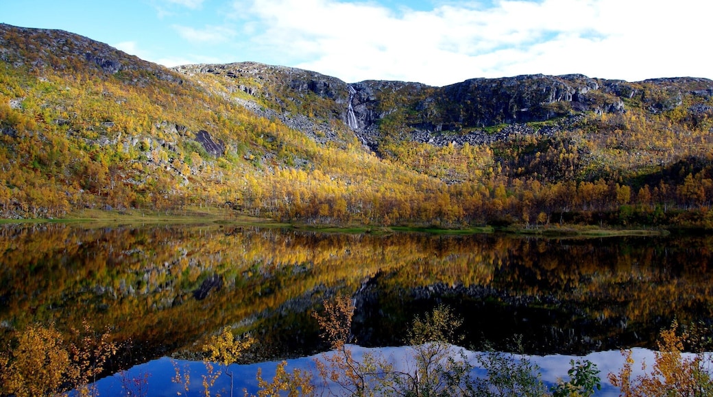 Skogvatnet , Narvik , Norway