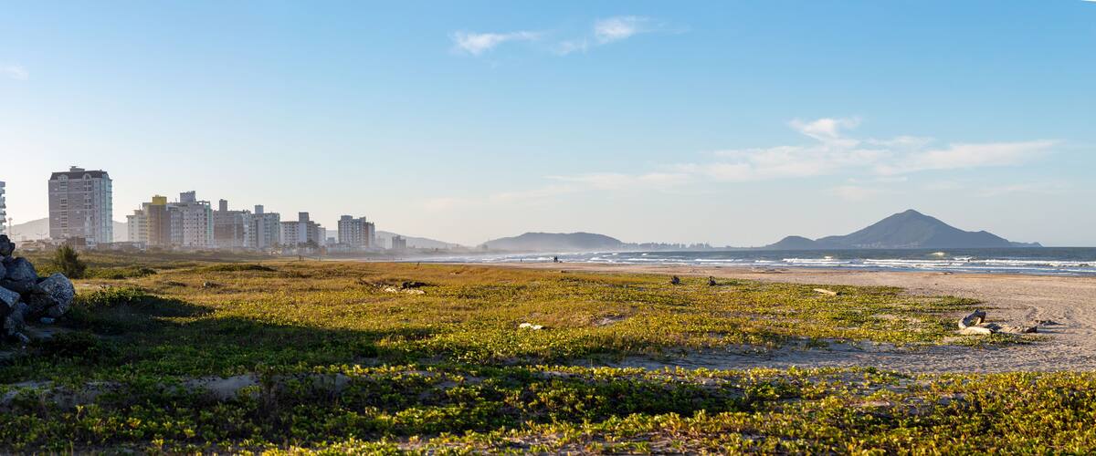 A beach with green vegetation, a mountain, and high-rise buildings in the background.