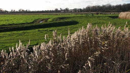 View towards the edge of Engine House Carr