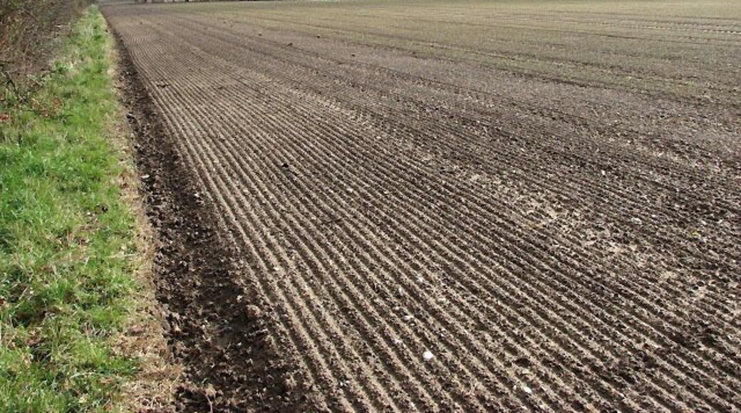 View south across field beside footpath. See > 740569 for another view of this footpath that is concealed by the hedgerow seen here at left.