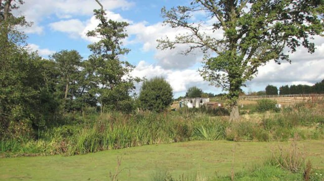 Limpenhoe Lakes The Limpenhoe Lakes are a number of recreational fishing lakes on the grounds of Cantley View Farm.