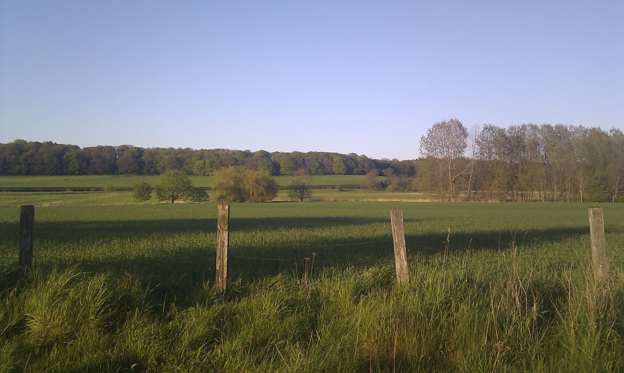 A rural landscape with a grassy field, a wooden fence, and a forest in the background.