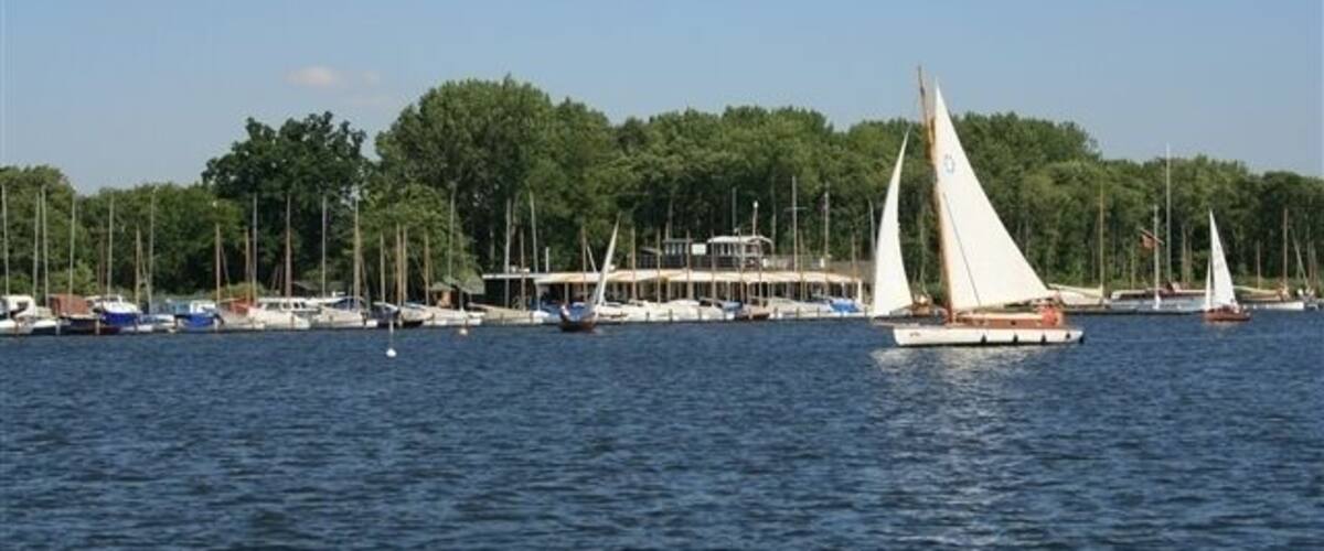 Un puerto deportivo con veleros, un transbordador atracado y una orilla cubierta de bosque.