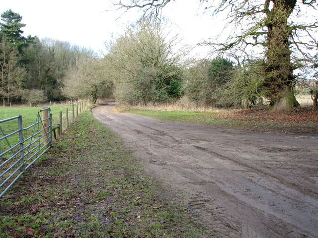 View north-west along Bridgham Lane