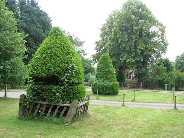The green on Church Hill. The red-brick building glimpsed through the trees in the background is the Primary School > 1384413.