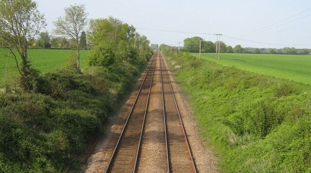 The Bittern Line by Thorpe End
