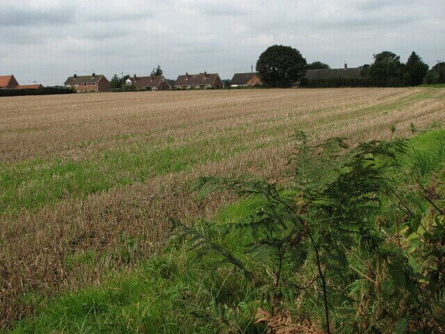 View across harvested field from Dobb's Lane Houses in Back Lane can be seen in the distance.