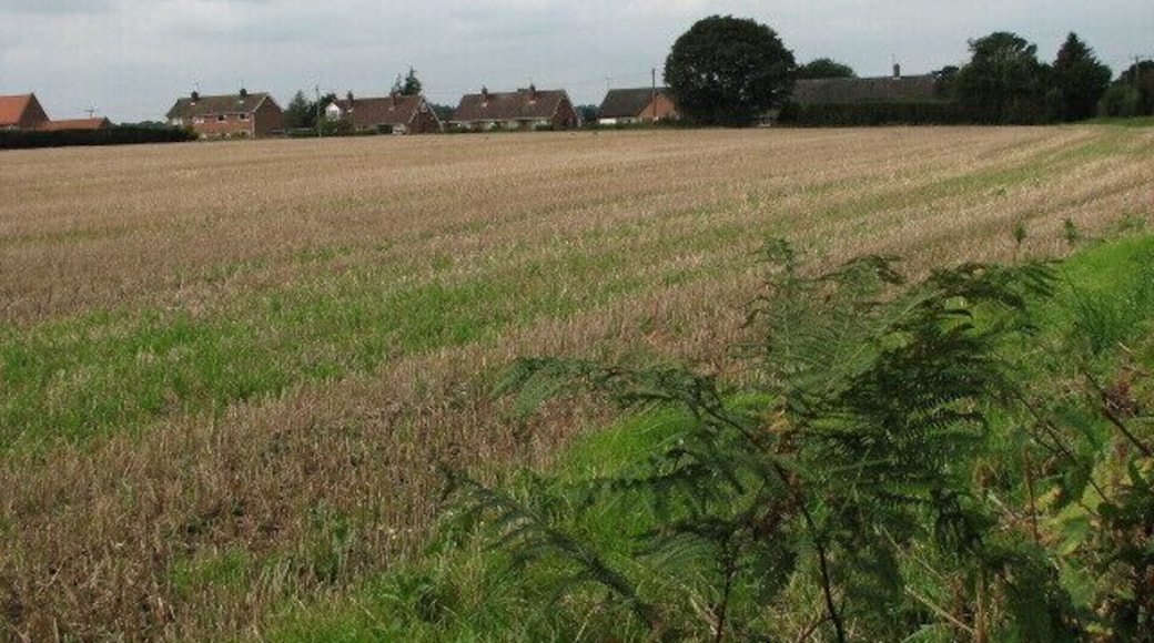 View across harvested field from Dobb's Lane Houses in Back Lane can be seen in the distance.