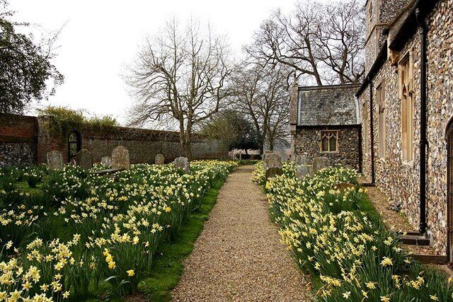 St Andrew, Kirby Bedon, Norfolk - Path to porch