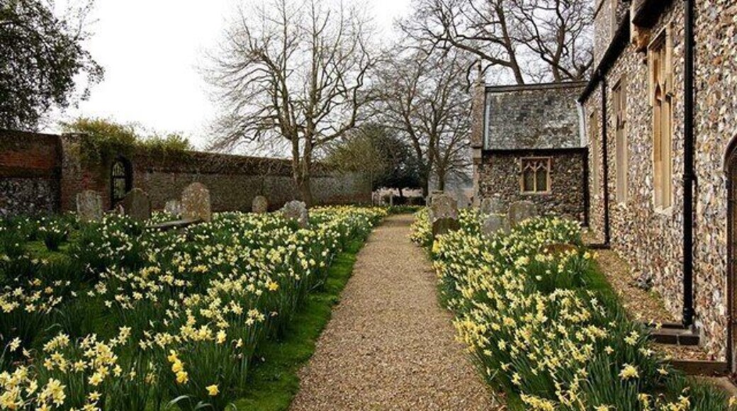 St Andrew, Kirby Bedon, Norfolk - Path to porch