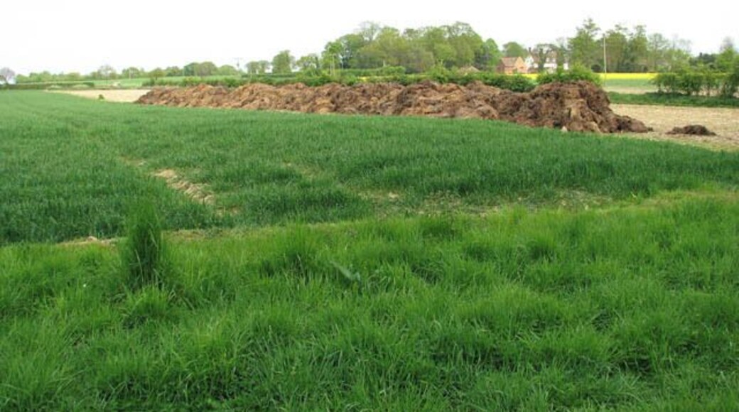View across fields. A cereal crop can be seen growing in the field at left and the oilseed rape is in flower in the distant field seen at right. A large heap of muck has been deposited by the edge of the bare field wedged in between the two, where a crop of maize stood until recently, providing food and shelter for game birds such as pheasants and partridges over the winter. The field has now been cleared and will soon be ploughed. Whitwell Hall Farm can be seen in the distance (in adjacent grid square).