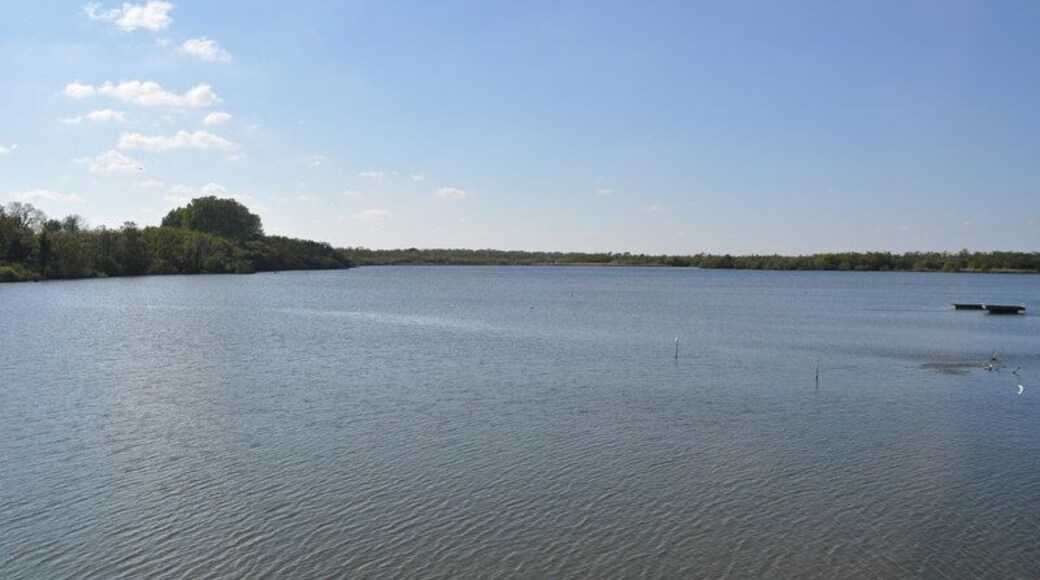 Ranworth Broad, near to Ranworth, Norfolk, Great Britain. The broads were excavated in Mediaeval times to extract peat for fuel. The pits flooded creating broads, linked by rivers. The area is now a national park. The Cator family gave Ranworth Broad to NWT in 1949. NWT�s Patron the Queen opened the Broads Wildlife Centre in 1976. The trust run electric boat trips for those wishing to see the broad. A great view is also had from the floating visitor center.