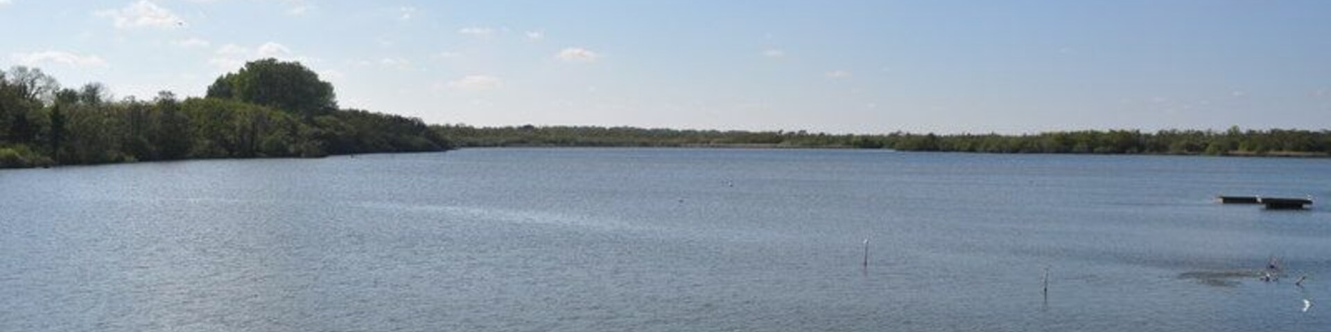 Ranworth Broad, near to Ranworth, Norfolk, Great Britain. The broads were excavated in Mediaeval times to extract peat for fuel. The pits flooded creating broads, linked by rivers. The area is now a national park. The Cator family gave Ranworth Broad to NWT in 1949. NWTïżœs Patron the Queen opened the Broads Wildlife Centre in 1976. The trust run electric boat trips for those wishing to see the broad. A great view is also had from the floating visitor center.