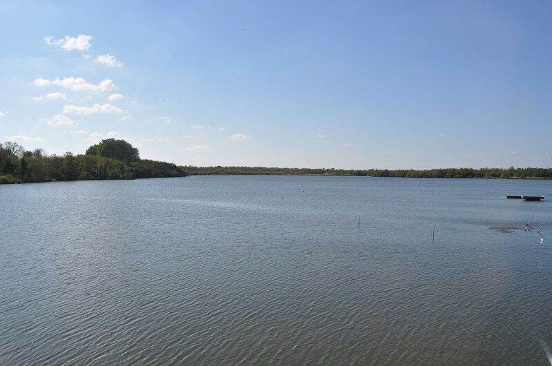 A calm lake with a clear sky and a distant tree line.