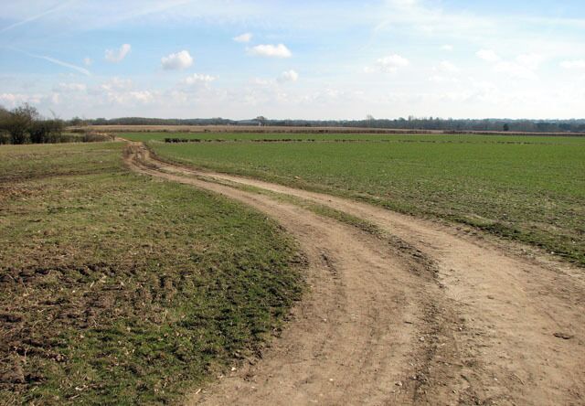 Unmarked track north of Fairstead Lane. The track links Grove Farm > 1756130 and Wood Farm > 1756056 - the latter, as it turns out, appears to be uninhabited which explains the unused track > 1755999.