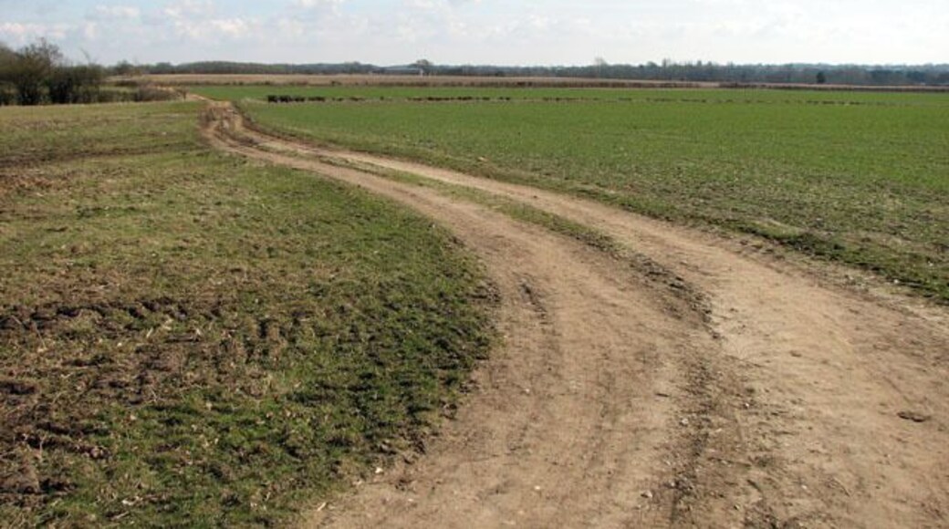 Unmarked track north of Fairstead Lane. The track links Grove Farm > 1756130 and Wood Farm > 1756056 - the latter, as it turns out, appears to be uninhabited which explains the unused track > 1755999.