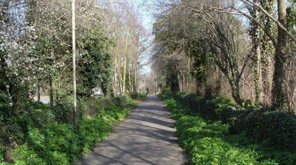 Martineau Lane This footpath/cycleway is the original Martineau Lane. Beyond the trees on the left of the lane is the road, part of the Norwich Ring Road.