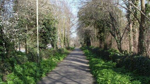 Martineau Lane This footpath/cycleway is the original Martineau Lane. Beyond the trees on the left of the lane is the road, part of the Norwich Ring Road.