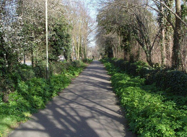 A tree-lined pathway with dense greenery on both sides.