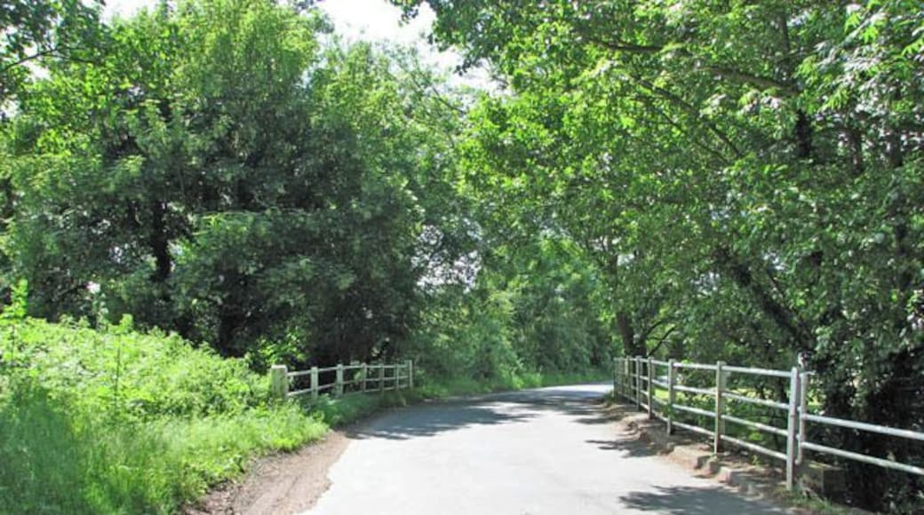 Bridge over the River Tas. The bridge carries Mill Road over the River Tas as it approaches Stoke Mill > 1353400.