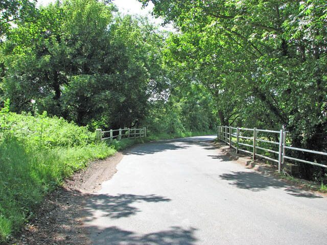 A narrow rural road flanked by dense green foliage and a metal fence.