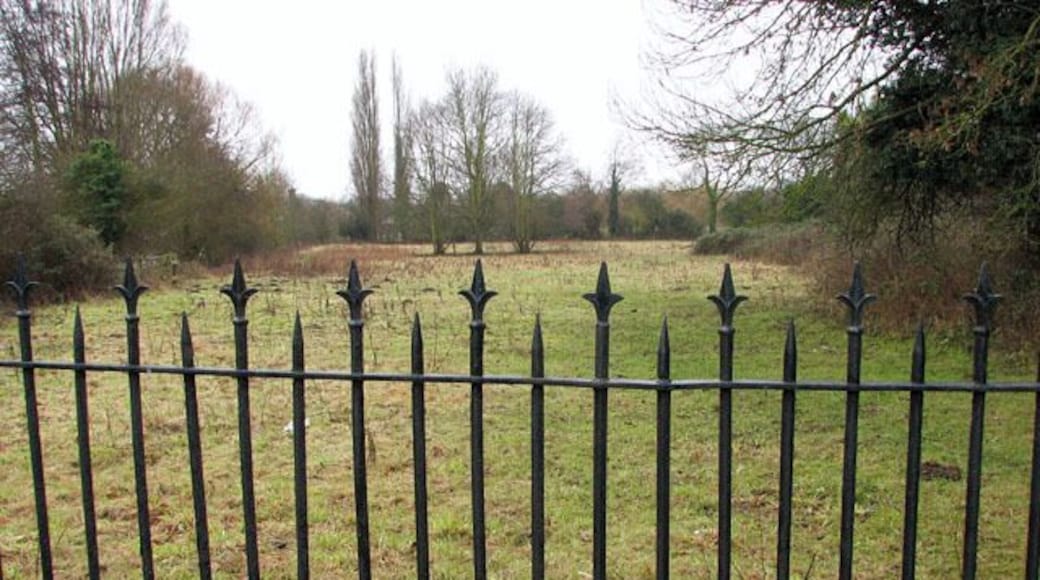 Trowse Church Meadow. The meadow adjoins St Andrew's church > 1670596 in the south and is grazed by cattle during the summer months.