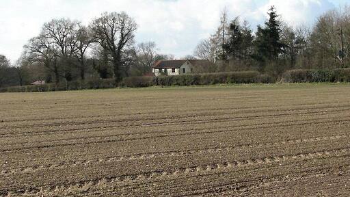 View NW towards Strattonhill Farm