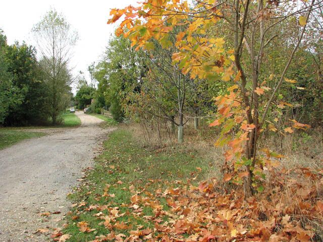Driveway to properties south of Markshall Farm Road