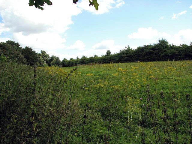 A green area between Shack Lane and the busy A47. A public footpath crosses here > 917336 - 917342.