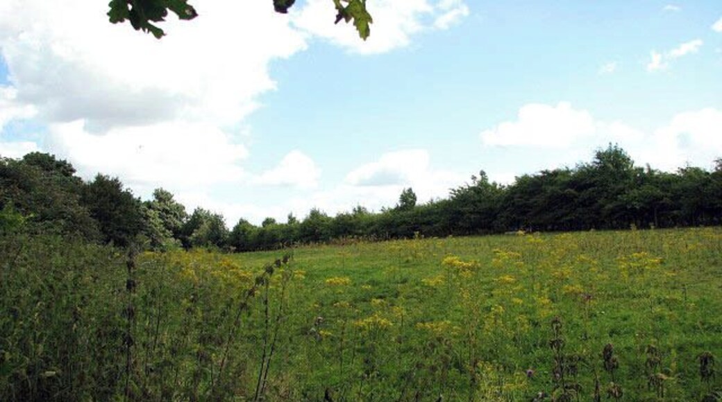 A green area between Shack Lane and the busy A47. A public footpath crosses here > 917336 - 917342.
