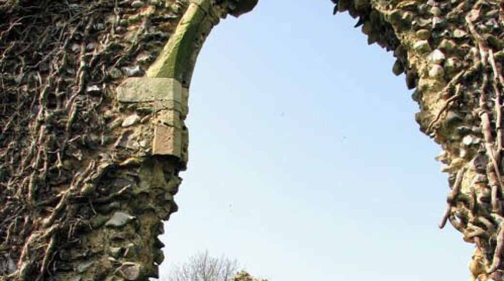 The ruins of St Saviour's church - view west. Dating from the 12th century, St Saviour's church was in regular use until about the year 1705. The ruin is not marked on OS maps. Little is known of the parish of St Saviour's except that two buildings once used to stand here - the church and a barn which has not survived. Some of the gravestones were moved to St Mary's and others have disappeared with the passage of time. In more recent times the writer and naturalist Ted Ellis (1909-1986) was buried here > https://www.geograph.org.uk/photo/1280803. Edward Augustine Ellis lived in a cottage at Wheatfen Broad with his wife Phyllis for 40 years. He set up his own nature reserve on the 130 acre site comprising woodland, fen and marshland. From 1928-1956 he was the Keeper of Natural History at the Norwich Castle Museum but at the age of 47 he resigned to concentrate on his work as a naturalist. He had an extensive knowledge of the wildlife and eco-systems of the Norfolk Broads and eventually became know as 'the people's naturalist'. http://www.wheatfen.org/tethtml/tet.html