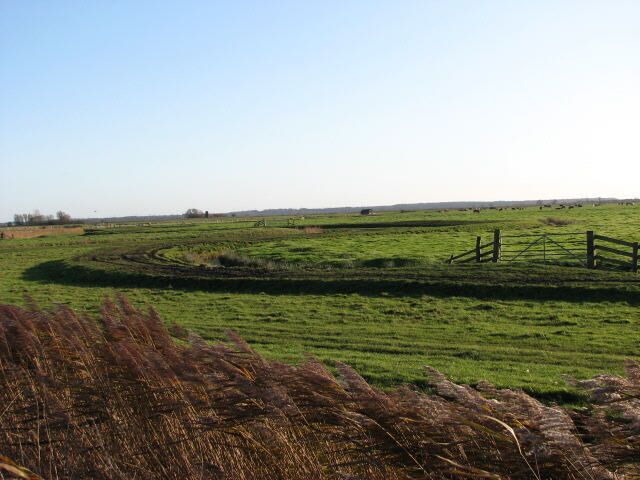 A raised track The track following this meandering drain through a marsh pasture is slightly raised (the low sun enhancing the contours), presumably in an effort to keep it dry and passable for farm machinery.
