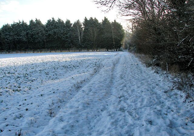 Public bridleway to The Street in Ketteringham. The bridleway links The Street in the village of Ketteringham > 1625696 with the A11 road further to the north, continuing on the other side.