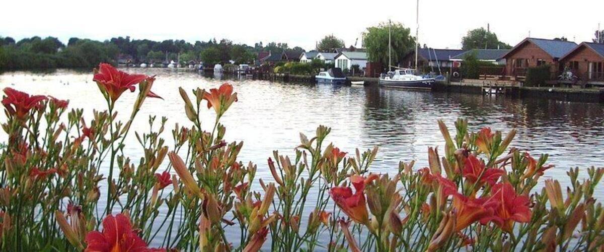 A river with boats, houses, and blooming flowers.