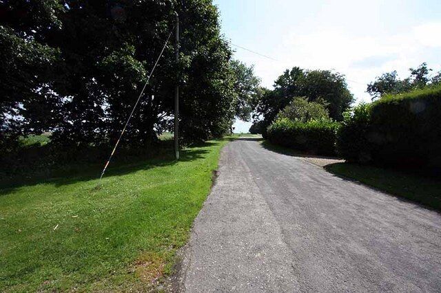 A rural road flanked by trees and grass.