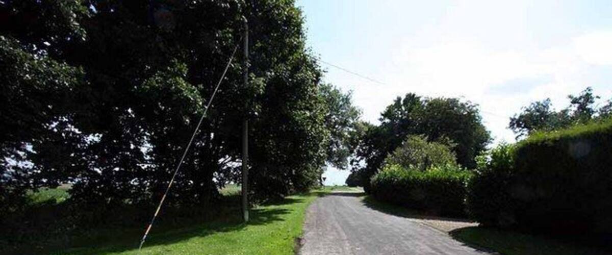 A rural road flanked by trees and grass.