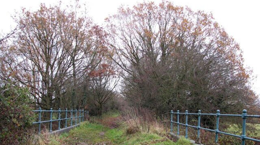 A disused railway bridge. Over Blackwater Beck, viewed in easterly direction along the Weavers Way. See also > 1062582. This section of the Weavers Way follows the dismantled railway trackbed of the former Midland and Great Northern Joint Railway. The Weavers Way is a long-distance footpath which links Cromer with Great Yarmouth; the path has a length of 90 kilometres and passes through the Norfolk Broads.