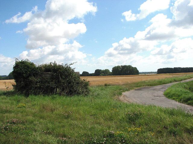 View towards Rattlesnake Carr. What appears to be shrubbery (seen in the foreground, at left) is an overgrown type FW3/22 pillbox from WWII which is located in a sharp bend beside the road leading to St Mary's church > 910289. It was constructed in 1940/41 and once formed part of the Acle nodal point. The structure has lost its brick shuttering and is partially overgrown. Defence of Britain database reference number: S0013686. See also > 910167 and 910179.
