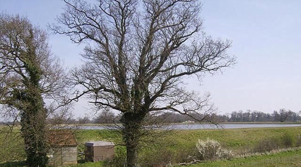 Original reservoir Taken from the retaining bank of the new one, this is the older reservoir to the north-east which is shown on the maps.