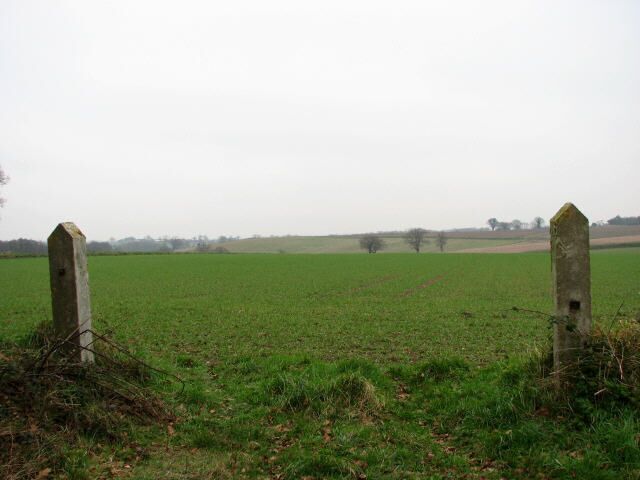 Two concrete gate posts without a gate Looking east across next year's crop, at the end of Kittles Lane.