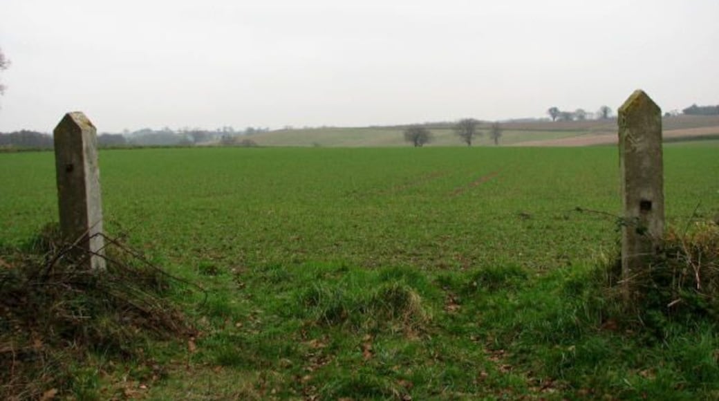 Two concrete gate posts without a gate Looking east across next year's crop, at the end of Kittles Lane.